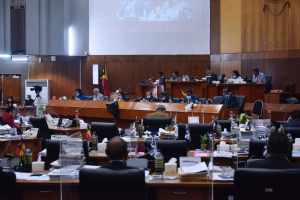 Plenaria Parlamentu Nasional durante debate OJE 2021